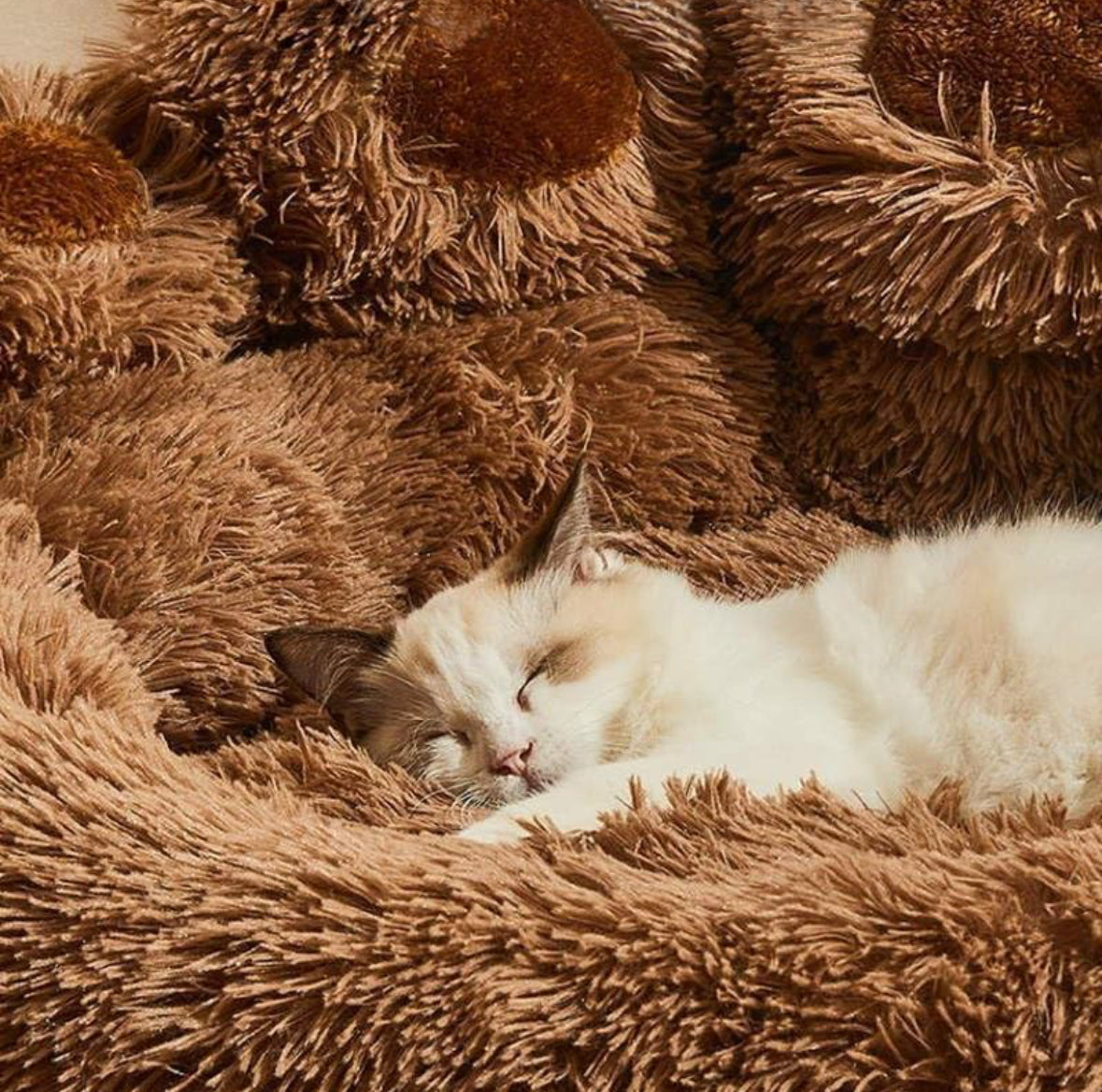 OGGY Dog Paw Bed