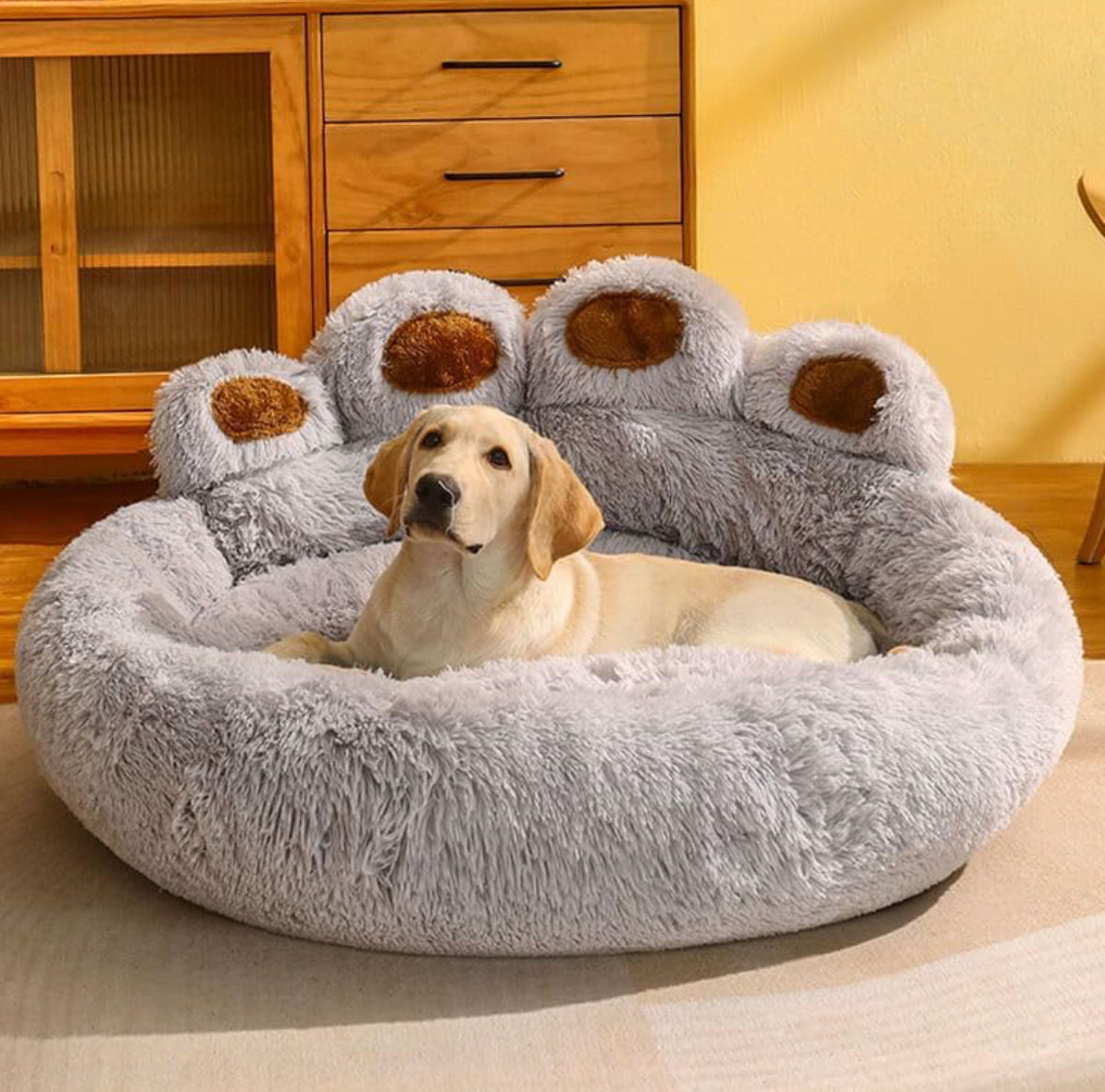 OGGY Dog Paw Bed